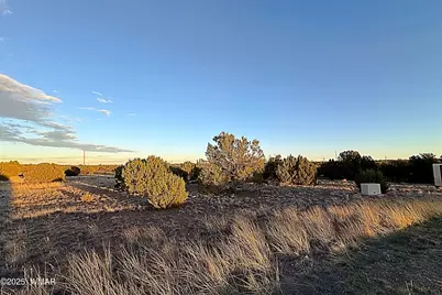 1930 Silver Lake Boulevard, Show Low, AZ 85901 - Photo 12