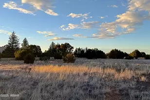 1930 Silver Lake Blvd, Show Low, AZ 85901 - Photo 1