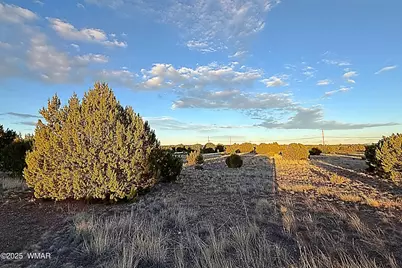 1930 Silver Lake Boulevard, Show Low, AZ 85901 - Photo 4