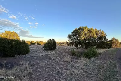 1930 Silver Lake Boulevard, Show Low, AZ 85901 - Photo 2