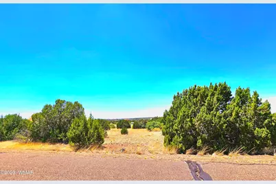 1950 Creekside Circle, Show Low, AZ 85901 - Photo 12