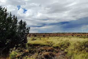 5214 Sour Dough Rd, Snowflake, AZ 85937 - Photo 30