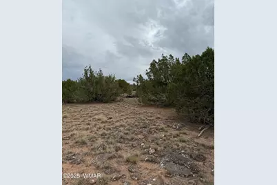 55 Ponderosa Drive, Concho, AZ 85924 - Photo 4