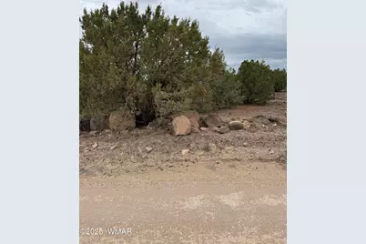 55 Ponderosa Drive, Concho, AZ 85924 - Photo 6