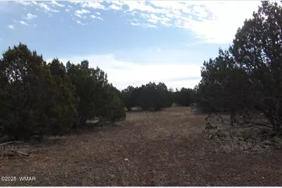 Tbd Idlewind Ranch  #2 Lot 77A, Show Low, AZ 85901 - Photo 4