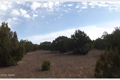 Tbd Idlewind Ranch  #2 Lot 77A, Show Low, AZ 85901 - Photo 2