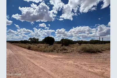 4498 S Pinto Road, Snowflake, AZ 85937 - Photo 6