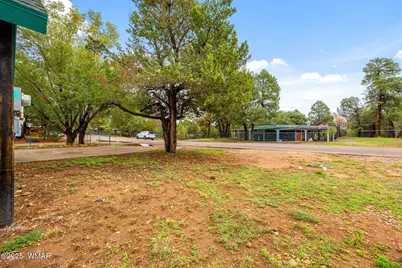 3390 Apache Drive, Overgaard, AZ 85933 - Photo 6