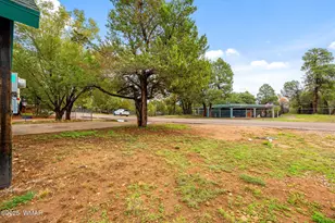 3390 Apache Dr, Overgaard, AZ 85933 - Photo 6