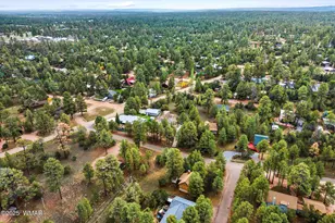 1955 Twin Pines Trail, Overgaard, AZ 85933 - Photo 28