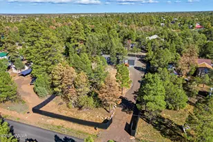3373 Mogollon, Overgaard, AZ 85933 - Photo 20