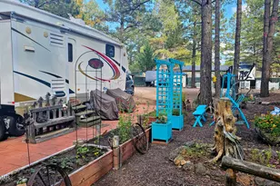 2333 Homestead Rd, Lakeside, AZ 85929 - Photo 4