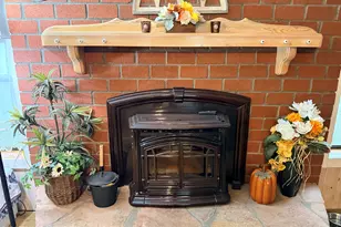 360 S White Mountain Dr, Saint Johns, AZ 85936 - Photo 40