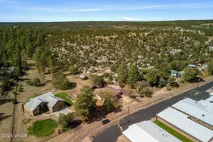 3368 Buckskin Canyon Rd, Heber, AZ 85928 - Photo 38