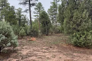 720 S Mountain Pines Ave, Show Low, AZ 85901 - Photo 1