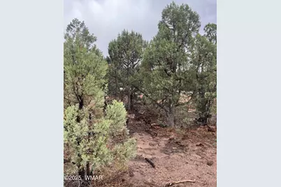 720 S Mountain Pines Avenue, Show Low, AZ 85901 - Photo 10