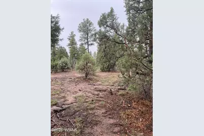 720 S Mountain Pines Avenue, Show Low, AZ 85901 - Photo 2