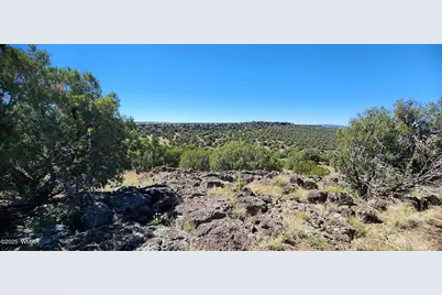 85 N 8522, Concho, AZ 85924 - Photo 12