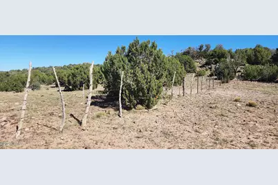 85 N 8522, Concho, AZ 85924 - Photo 2