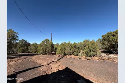 4 Pinon, Concho, AZ 85924 - Photo 4