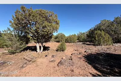 4 Pinon, Concho, AZ 85924 - Photo 2