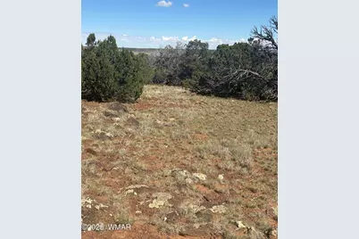 29B County Road N 8339, Concho, AZ 85924 - Photo 2