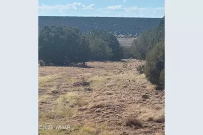 29B County Road N 8339, Concho, AZ 85924 - Photo 8