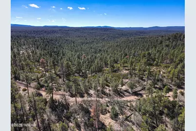 3350 W Rim Road Parcel #2, Lakeside, AZ 85929 - Photo 4