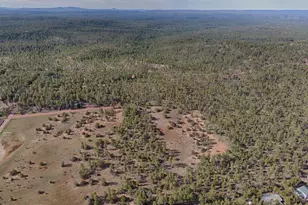 3350 W Rim Rd Parcel 4, Lakeside, AZ 85929 - Photo 1