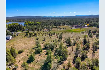 3350 W Rim Road Parcel #5, Lakeside, AZ 85929 - Photo 2