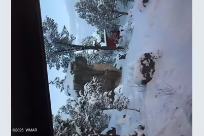 3424 Butts Lane, Heber, AZ 85928 - Photo 28