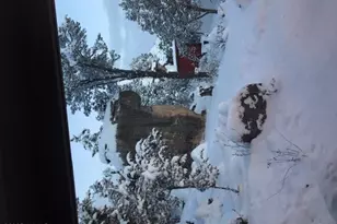 3424 Butt's Ln, Heber, AZ 85928 - Photo 28