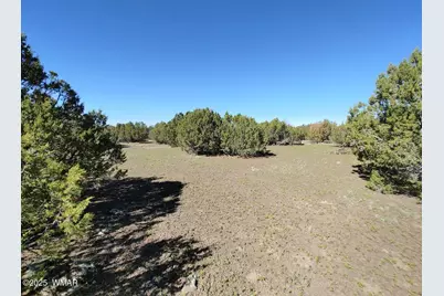 1639 Silver Lake Boulevard, Show Low, AZ 85901 - Photo 6