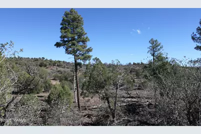 1663 Cactus Flower Road, Pinedale, AZ 85934 - Photo 14