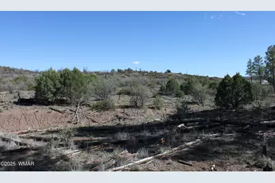 1663 Cactus Flower Road, Pinedale, AZ 85934 - Photo 20