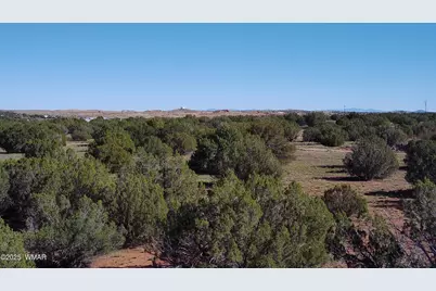 5100 Falcon Drive, Taylor, AZ 85939 - Photo 12