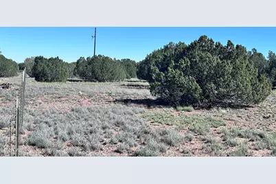 5100 Falcon Drive, Taylor, AZ 85939 - Photo 6