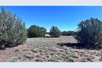 5100 Falcon Drive, Taylor, AZ 85939 - Photo 8