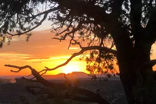 80 N3313, Vernon, AZ 85940 - Photo 42