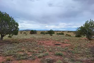 40 CR 5309, Concho, AZ 85924 - Photo 4