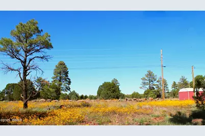 2966 Johnson Street, Lakeside, AZ 85929 - Photo 2