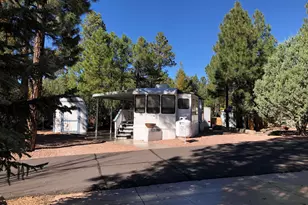 2170 E Hanging Tree Trail, Show Low, AZ 85901 - Photo 24