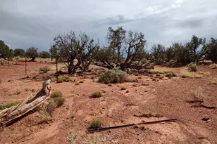Tbd 201-25-009 and 010A, Heber, AZ 85928 - Photo 1
