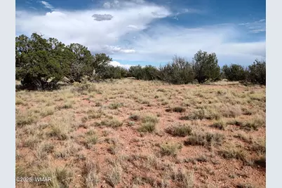 Tbd 201-25-009 and 010A, Heber, AZ 85928 - Photo 2