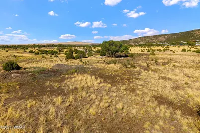 975 S Water Canyon Road, Eagar, AZ 85925 - Photo 8