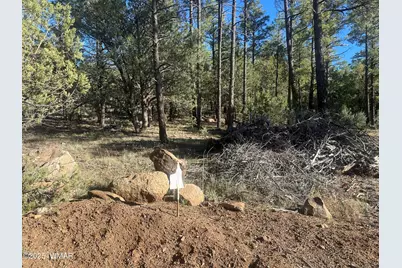 Tbd Rodgers Road, Lakeside, AZ 85929 - Photo 6