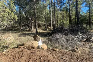 Tbd Rodgers Rd, Lakeside, AZ 85929 - Photo 6