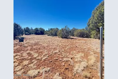 000 N3239, Vernon, AZ 85940 - Photo 4