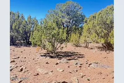 000 N3239, Vernon, AZ 85940 - Photo 14