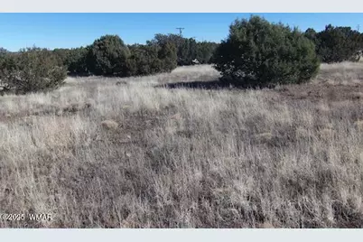 Tbd 106-39-007N, Vernon, AZ 85940 - Photo 4